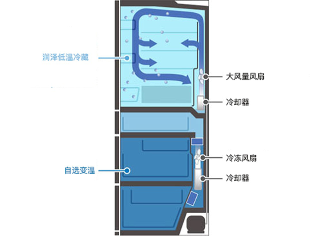 Moisture, Cooling Fan, Frost, Evaporator, Compressor