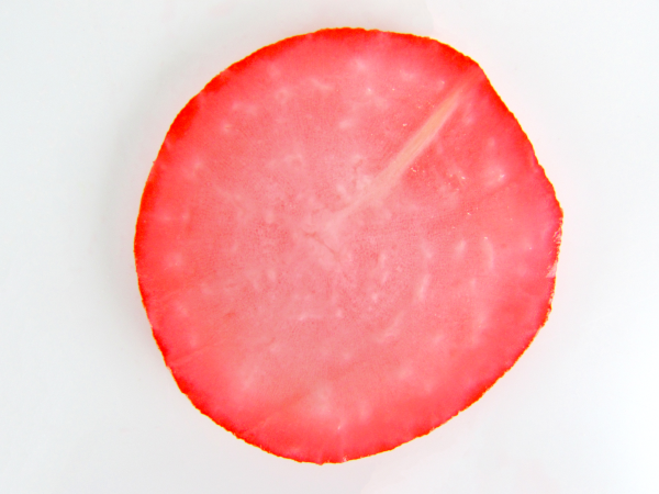 Hitachi Refrigerator