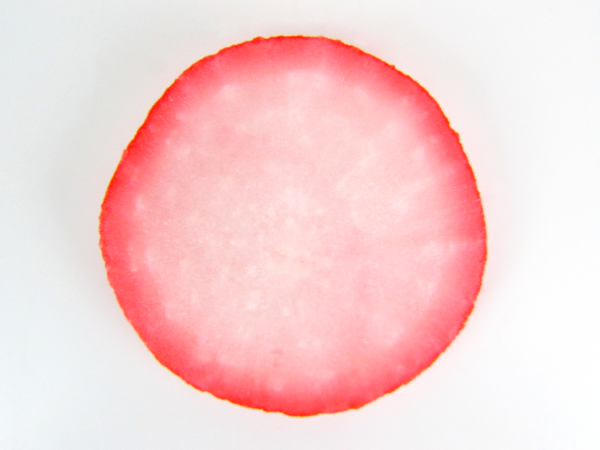 Hitachi Refrigerator